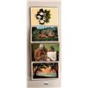 Image 8 : Advertising - Asheville Postcard Company Sample Set Accordian Dixieland Postcards