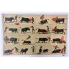 Image 1 : Sports - Bullfighting Postcards 16