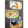 Image 16 : Album of World's Fair & Exposition Postcards Approx. 300