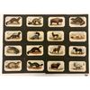 Image 1 : Ephemera - Animal Trade Cards 24 Cards