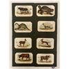 Image 2 : Ephemera - Animal Trade Cards 24 Cards
