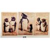 Image 2 : 6 Tuck Guinnipens Penguins Greeting Postcards