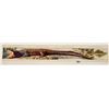 Image 1 : Novelty - Alligator Installment Set 4 Postcards