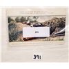 Image 8 : Novelty - Alligator Installment Set 4 Postcards