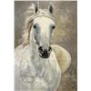 Image 1 : The Awesome Mare by Inam