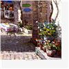 Image 2 : Arches De Cagnes by Park, S. Sam