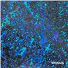 Image 2 : Untitled by Wyland Original