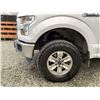Image 27 : F2 --  2016 FORD F150 WHITE 292045 KMS