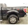 Image 25 : C6I --  2012 FORD F150 BLACK 246971 KMS