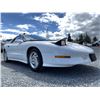 Image 8 : C6O --  1994 PONTIAC FIREBIRD TRANS AM WHITE 139,419 KMS