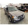 Image 10 : A6 --  2010 FORD ESCAPE XLT GREY 204863 KMS