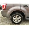 Image 31 : A6 --  2010 FORD ESCAPE XLT GREY 204863 KMS