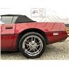 Image 42 : C6F --  1989 CHEVROLET CORVETTE CONVERTIBLE RED 165,536 KMS