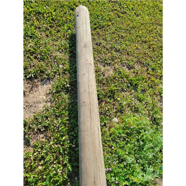 21 ft Treated pole