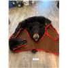 Image 6 : Black Fur Bear Sking Rug