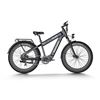 Image 1 : Himiway D5 Plus Rhino Dual Battery OffRoad E-Bike