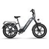 Image 1 : Himiway Big Dog Electric Cargo Bike