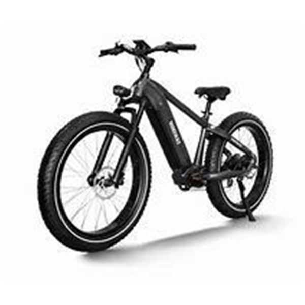 Himiway D5 Zebra Electric Bike