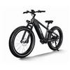 Image 1 : Himiway D5 Zebra Electric Bike