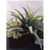 Image 2 : Assorted Artificial Plants