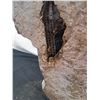 Image 8 : Fiberglass Dragon Yard Decor