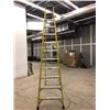 Image 1 : ESCABEAU EN FIBRE FEATHERLITE 12'