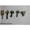 Image 3 : (10) Old/Unusual Keys