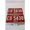 Image 1 : (2) Alberta License Plates - 1960