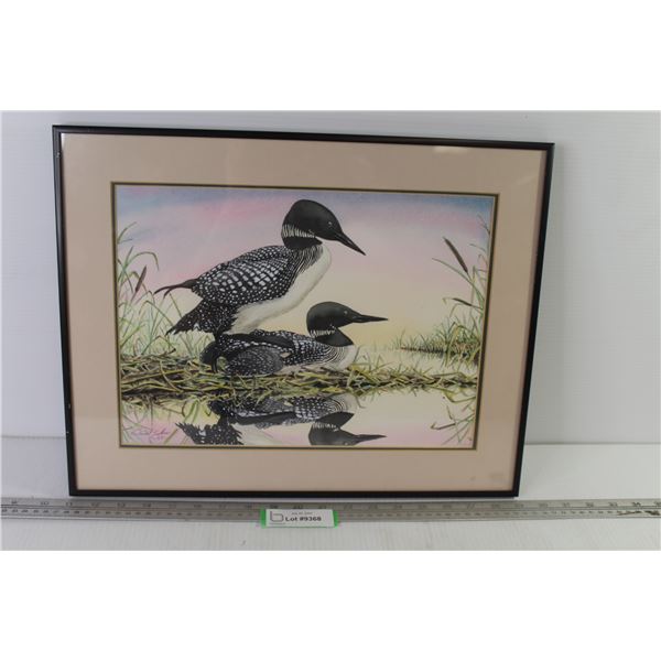 Signed Original Water Color of Loons (18 1/4" x 14 1/4")