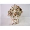 Image 3 : "Coral Reef" Shell Sculpture