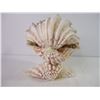 Image 5 : "Coral Reef" Shell Sculpture