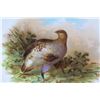 Image 5 : Vintage Bavarian ZS & Company - Game Bird Plate (12 3/4" Diameter)