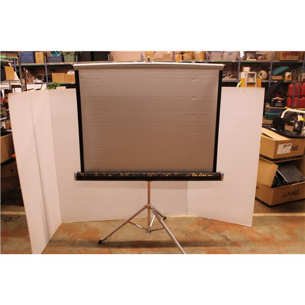 *Da Lite Projection Screen