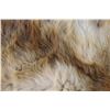 Image 3 : 42'' Tanned Fox Fur Rug - Skin is Very Delicate
