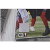Image 3 : Calgary Stampeders CFL Football Photo Collection - 7" x 4.5"