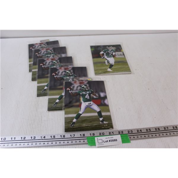 Saskatchewan Roughriders CFL Football Photo Collection - 7" x 4.5"