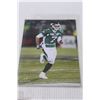 Image 2 : Saskatchewan Roughriders CFL Football Photo Collection - 7" x 4.5"