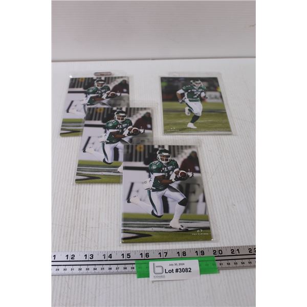 Saskatchewan Roughriders CFL Football Photo Collection - 7" x 4.5"