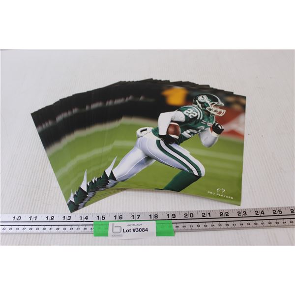 Saskatchewan Roughriders CFL Football Photo Collection - 10" x 8"