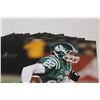 Image 3 : Saskatchewan Roughriders CFL Football Photo Collection - 10" x 8"