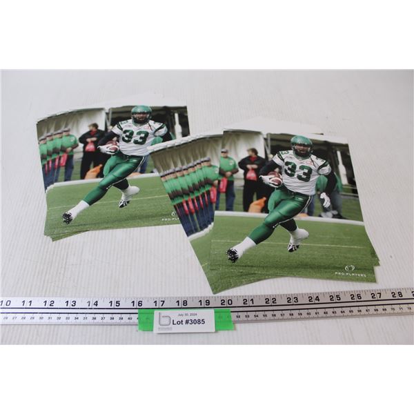 Saskatchewan Roughriders CFL Football Photo Collection - 10" x 8"
