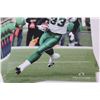 Image 3 : Saskatchewan Roughriders CFL Football Photo Collection - 10" x 8"