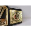 Image 4 : WWE "Replica" Vinyl Belt - 16" Wide, as is