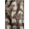 Image 3 : Fox? Fur Coat