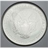 Image 2 : 2007 American Silver Eagle
