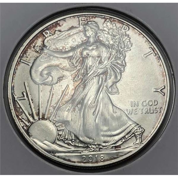 2018 American Silver Eagle
