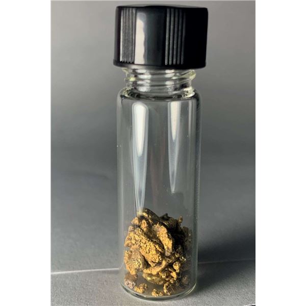 7.8g Alaskan Gold Nuggets