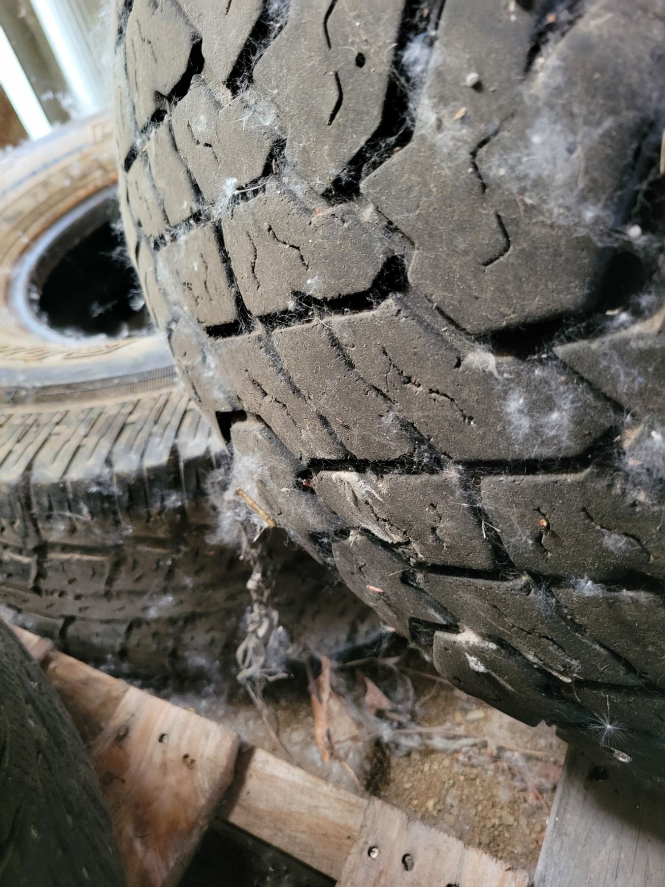 2- 16 inch Tires