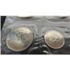 Image 8 : 2002 canada Mint Set