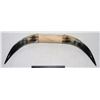 Image 2 : 32" LONG HORNS